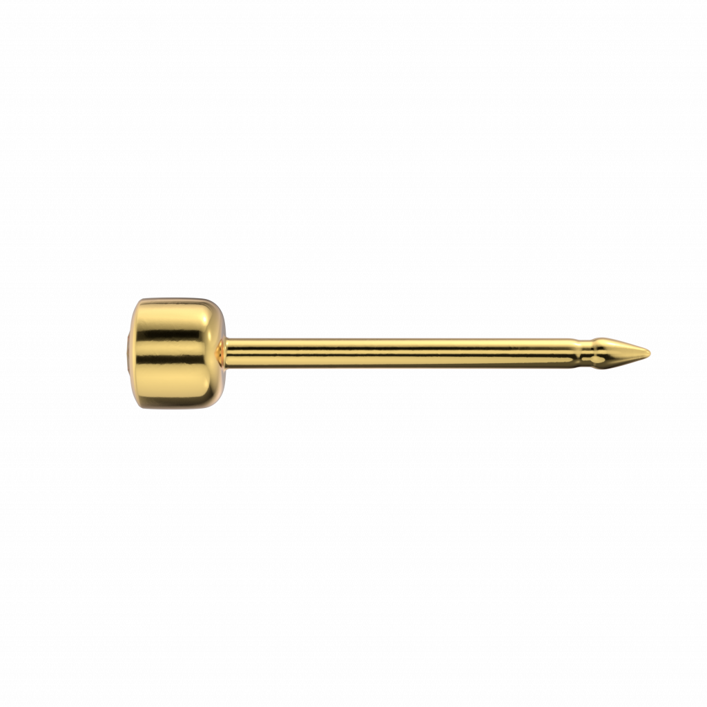 Gold Ohrstecker rund Zirk.