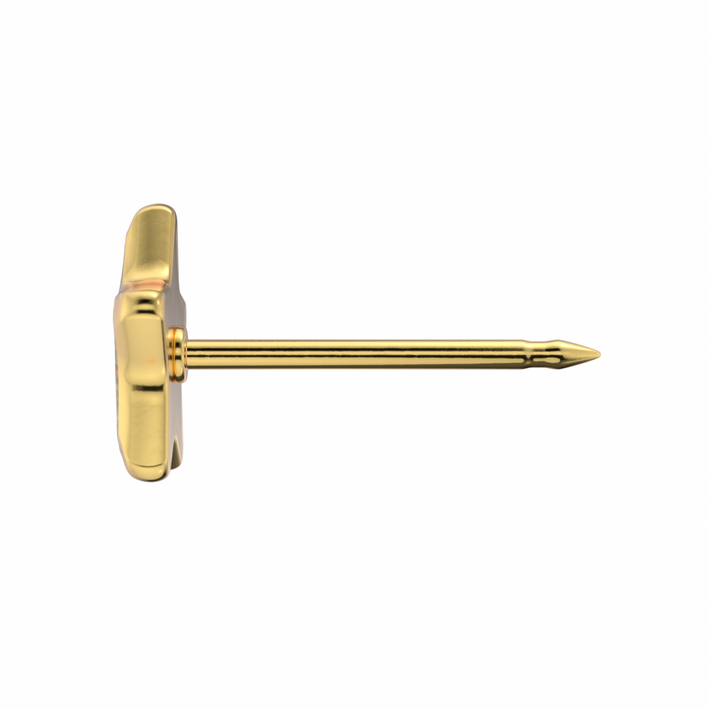 Gold Stern Ohrstecker Zirk.