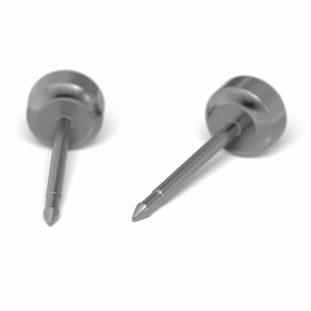 Titanium Ohrstecker rund Zirk.