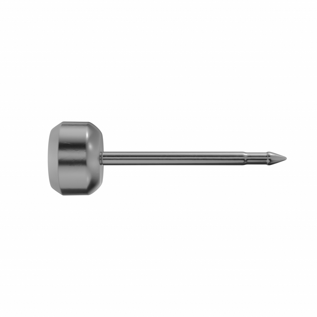 Titanium Ohrstecker rund Zirk.